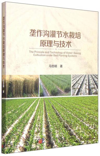 壟作溝灌節(jié)水栽培原理與技術(shù)