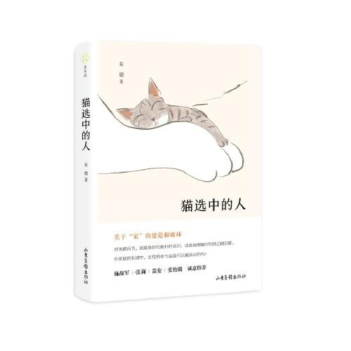 猫选中的人