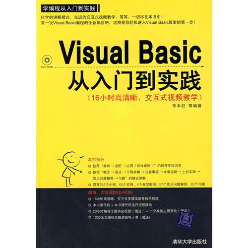 Visual Basic从入门到实践