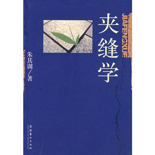 夾縫學(xué)