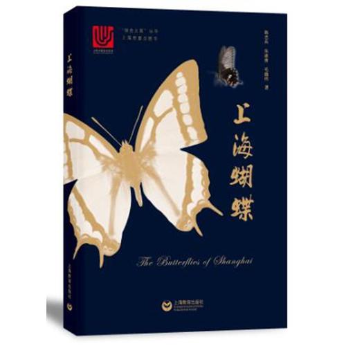 上海蝴蝶