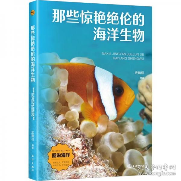 那些驚艷絕倫的海洋生物