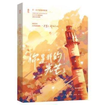 你是我的光芒 3