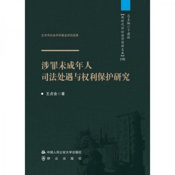 涉罪未成年人司法處遇與權(quán)利保護研究/新時代訴訟法學創(chuàng)新文庫