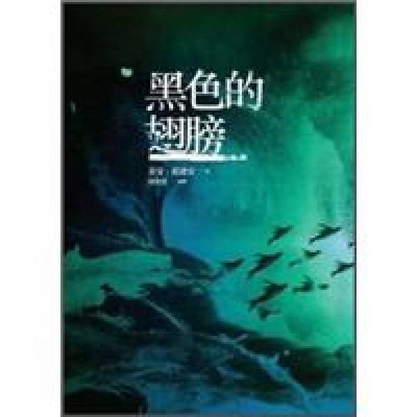 黑色的翅膀