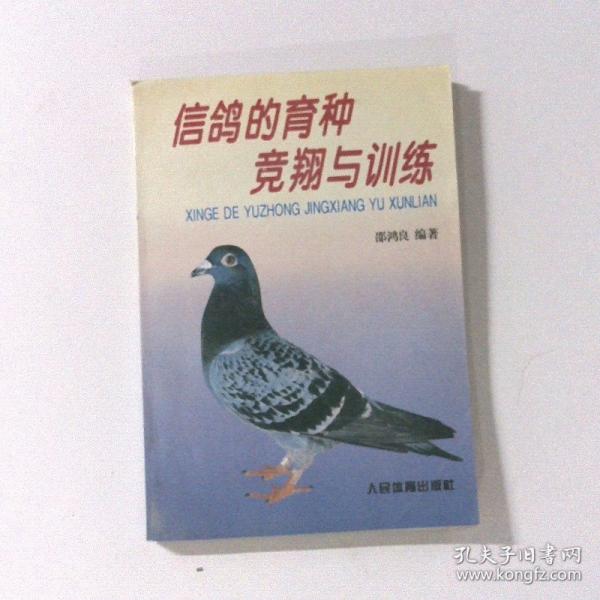 信鴿的育種競翔與訓(xùn)練