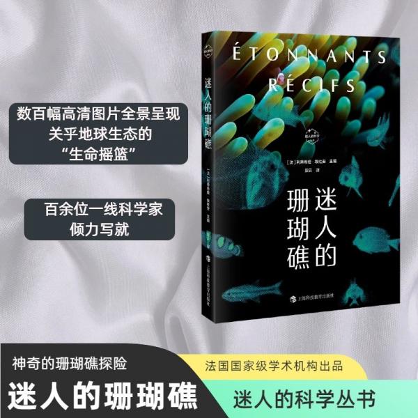 迷人的珊瑚礁