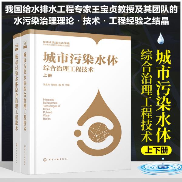 城市污染水体综合治理工程技术（上、下册）