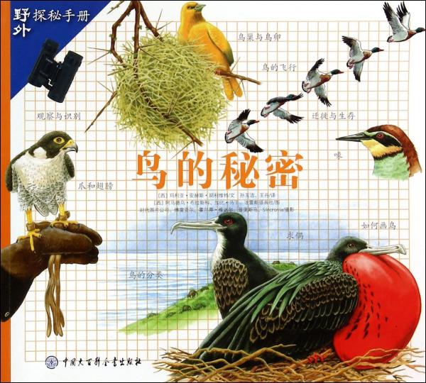 鳥的秘密