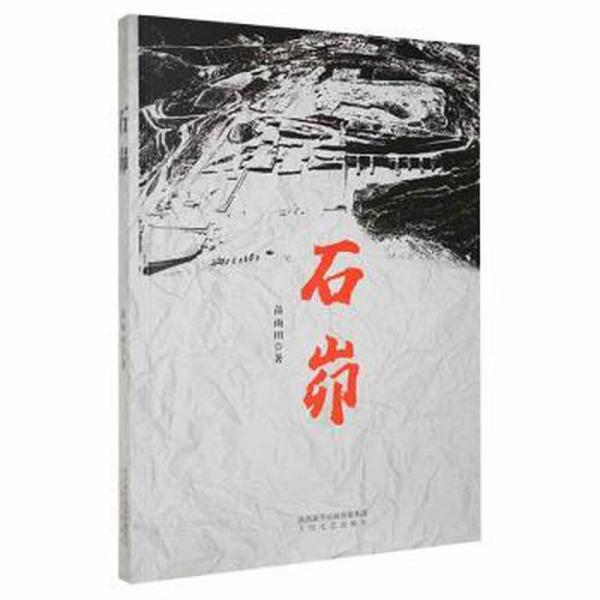 全新正版圖書 石峁苗雨田太白文藝出版社9787551319263
