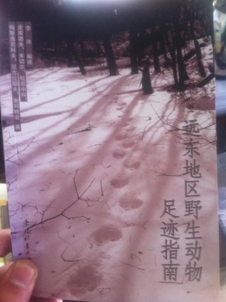 遠(yuǎn)東地區(qū)野生動(dòng)物足跡指南