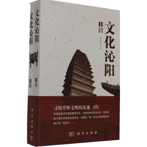 文化沁陽(yáng)（上、下冊(cè)）