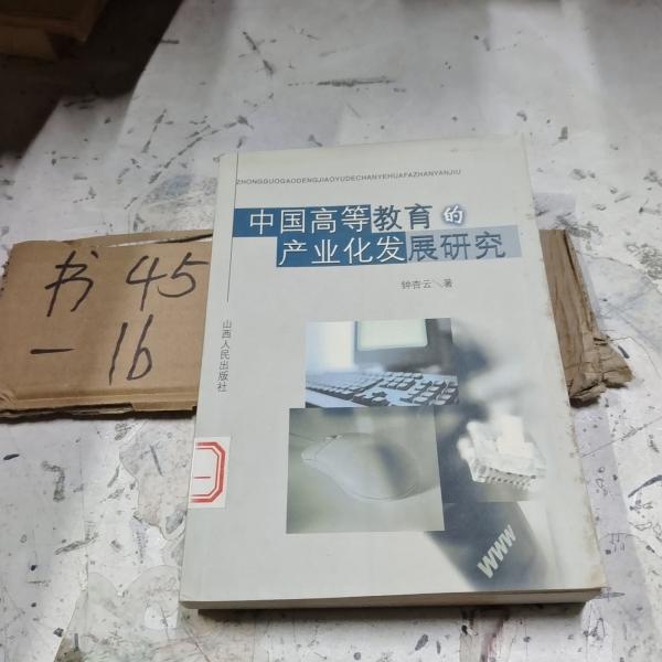 中國(guó)高等教育的產(chǎn)業(yè)化發(fā)展研究