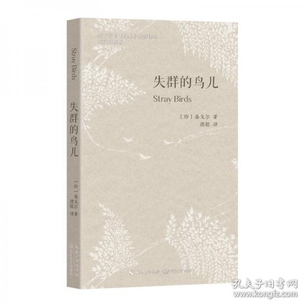 失群的鸟儿