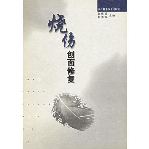 燒傷創(chuàng)面修復(fù)