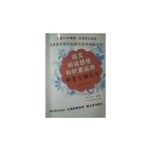語文閱讀感悟和積累運用中考專題復習
