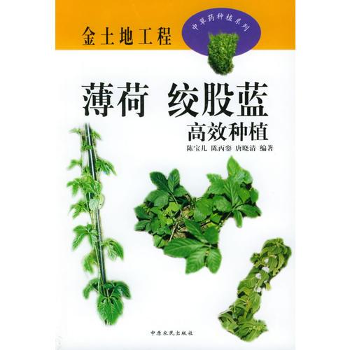 薄荷、絞股藍高效種植