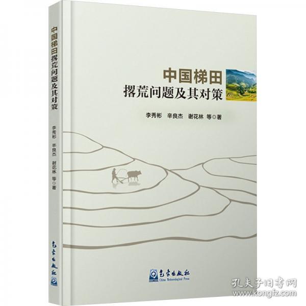 中國梯田撂荒問題及其對策