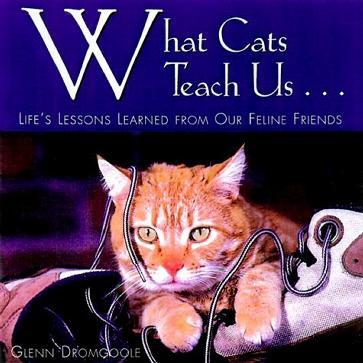 What Cats Teach Us...