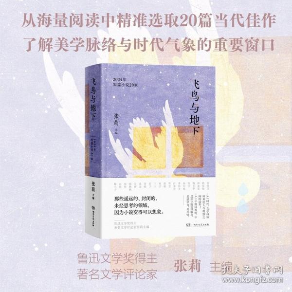 飛鳥與地下：2024年短篇小說20家