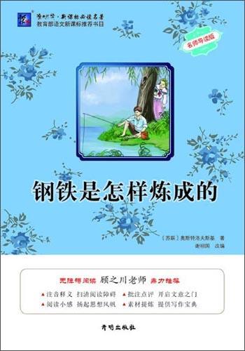 鋼鐵是怎樣煉成的/漁夫閱讀名著