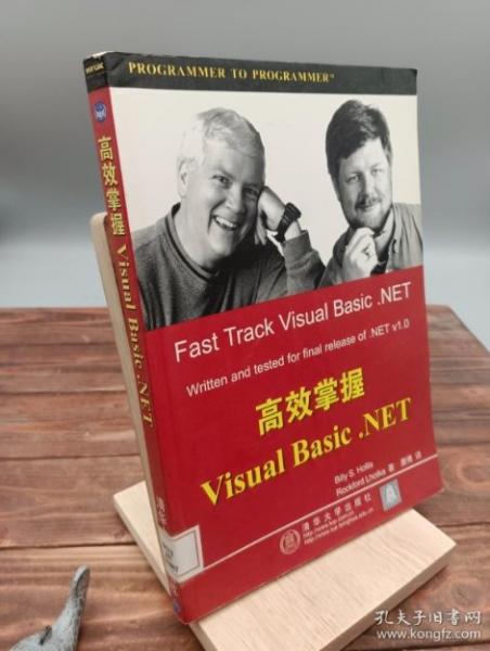 高效掌握Visual Basic.NET