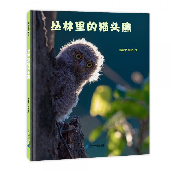 叢林里的貓頭鷹科普認(rèn)知繪本3-6歲蒲蒲蘭繪本