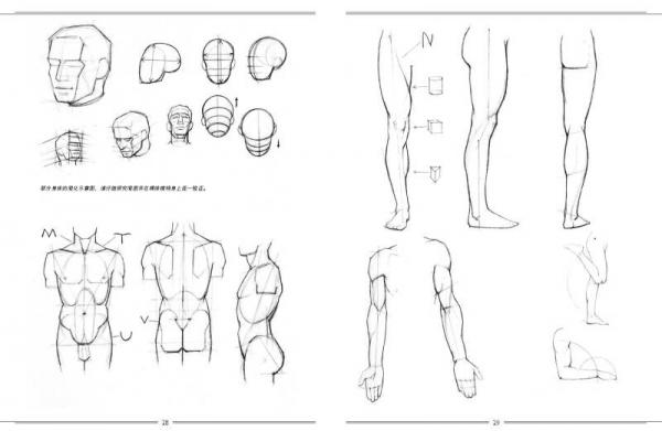 意大利名家經(jīng)典繪畫教程：人體素描結(jié)構(gòu)與方法