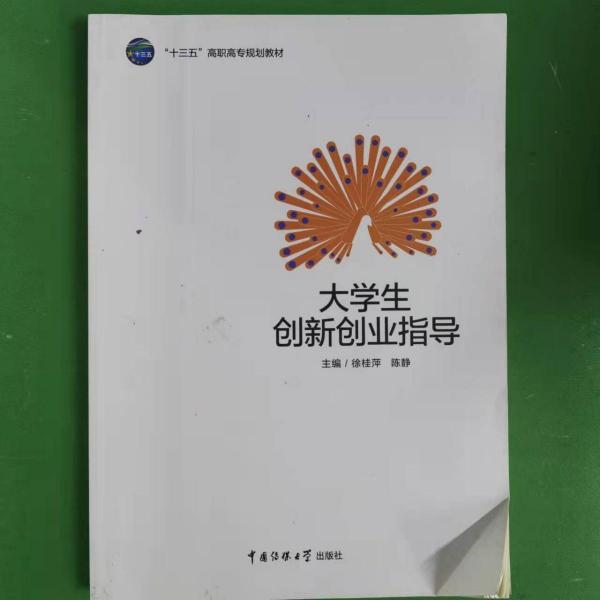 大學(xué)生創(chuàng)新創(chuàng)業(yè)指導(dǎo)