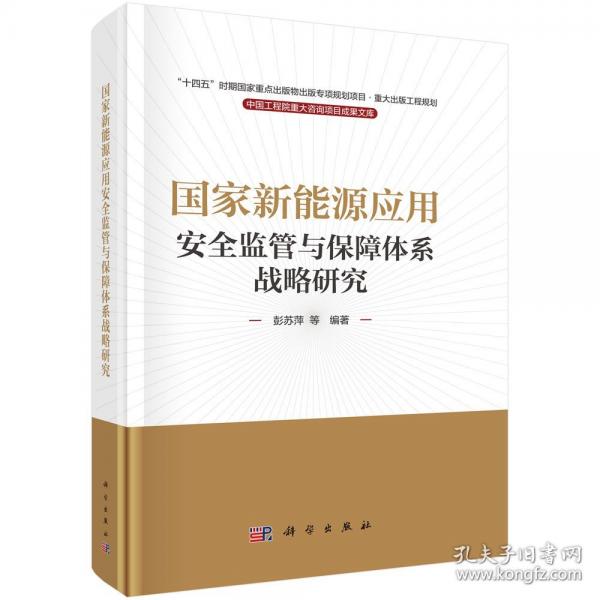 国家新能源应用安全监管与保障体系战略研究