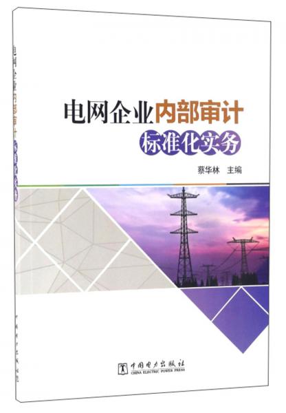電網企業(yè)內部審計標準化實務