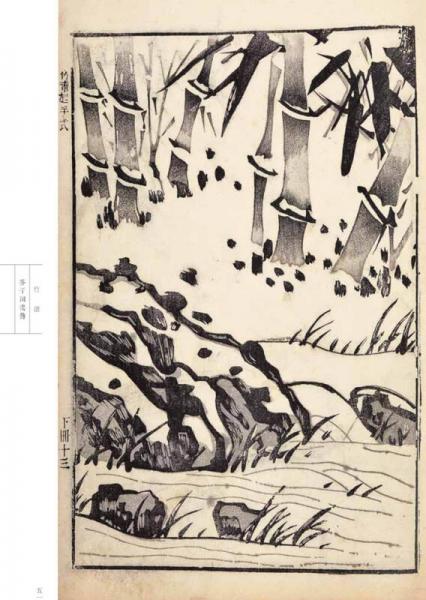 芥子园画传 花鸟卷·竹谱