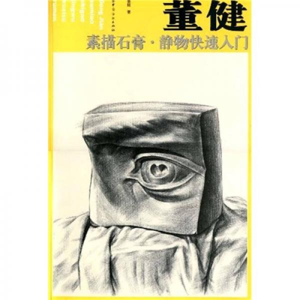 董健素描石膏：静物快速入门