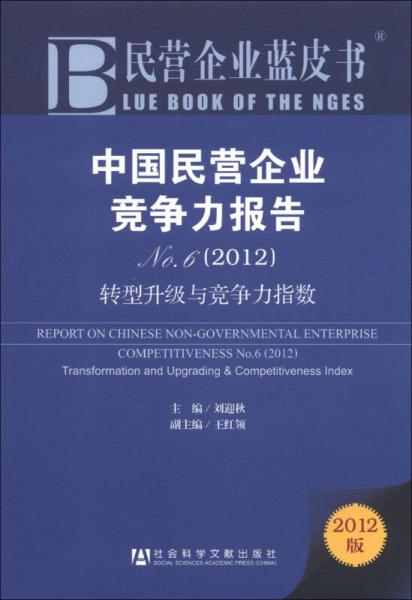 民營企業(yè)藍(lán)皮書·中國民營企業(yè)競爭力報(bào)告No.6