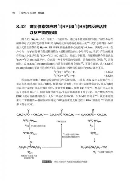 现代分子光化学 2·反应篇