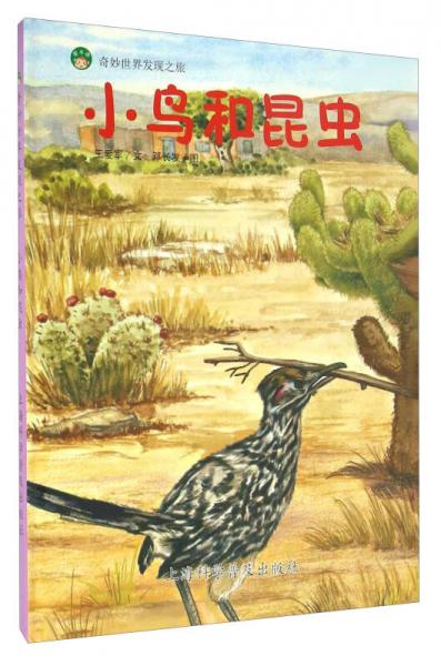 小鳥和昆蟲
