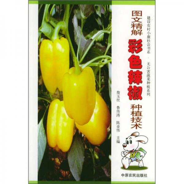 圖文精解彩色辣椒種植技術(shù)