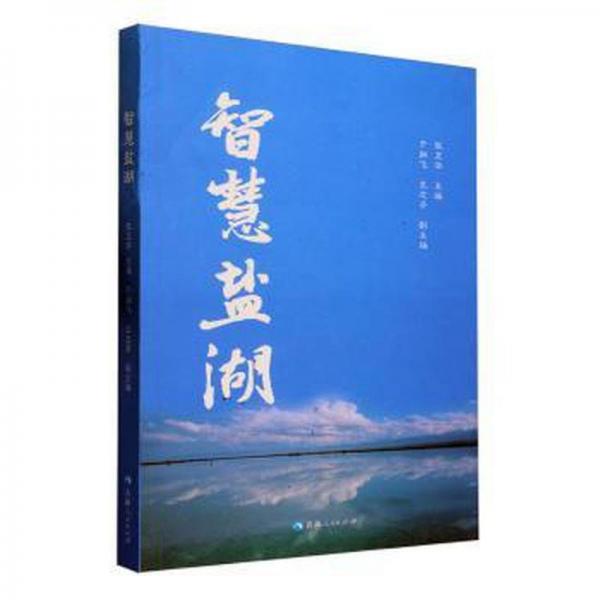 全新正版圖書 智慧鹽湖張衛(wèi)華青海人民出版社有限責任公司9787225065397