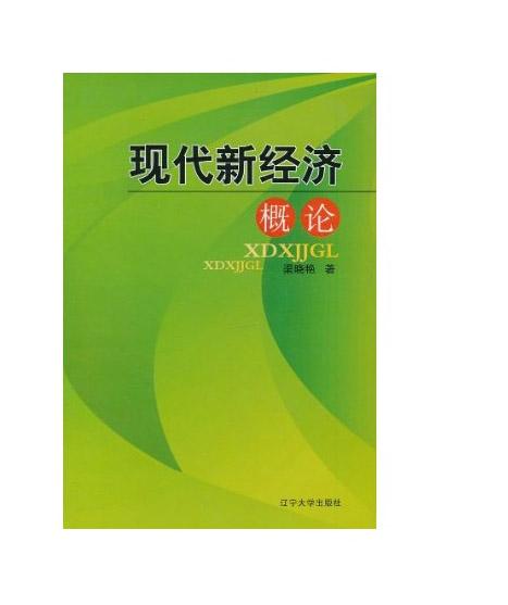 現(xiàn)代新經(jīng)濟概論
