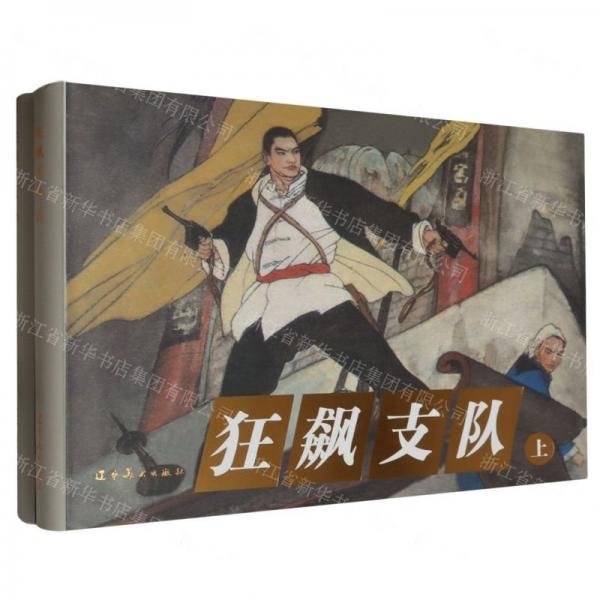 狂飆支隊(duì)(上下)(精)