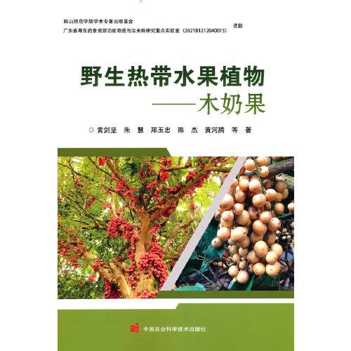 野生熱帶水果植物——木奶果