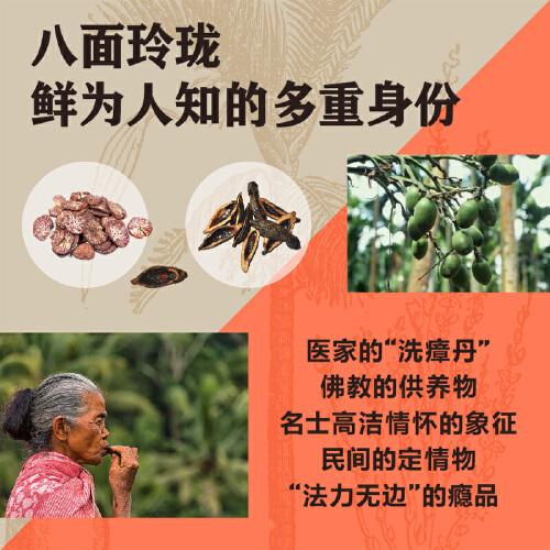 一嚼两千年：从药品到瘾品，槟榔在中国的流行史