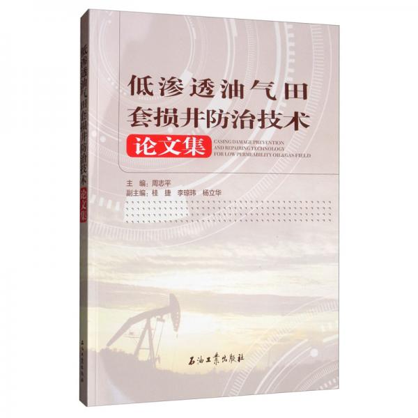 低滲透油氣田套損井防治技術(shù)論文集