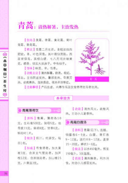 《本草纲目》养生经