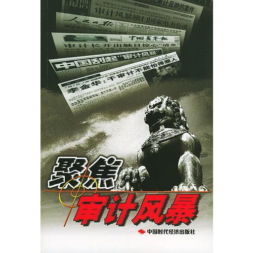 聚焦審計(jì)風(fēng)暴
