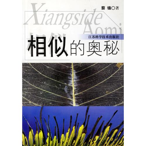 相似的奧秘