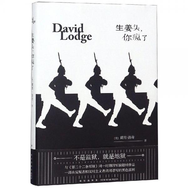 生姜頭.你瘋了 戴維·洛奇英 著 任麗麗 譯  