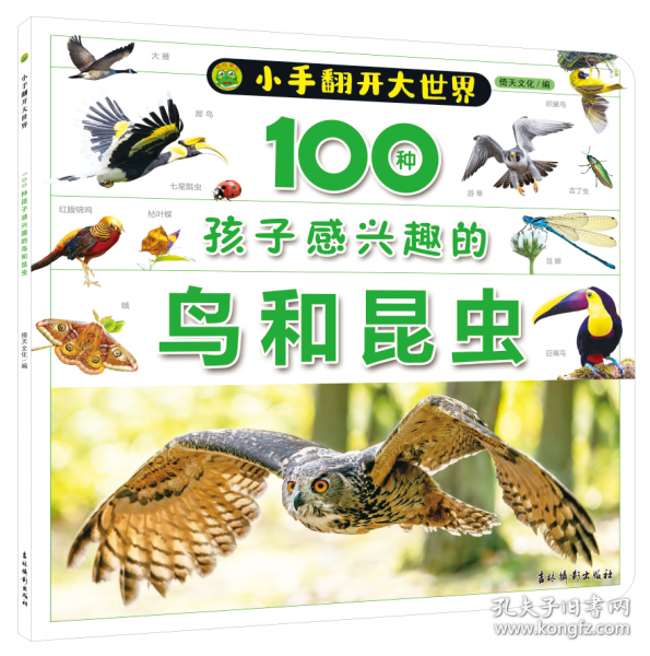 小手翻開(kāi)大世界 100種孩子感興趣的鳥(niǎo)和昆蟲(chóng)