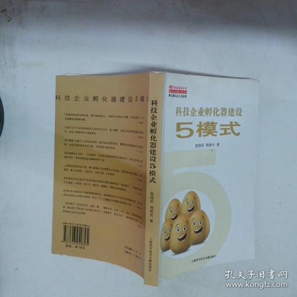 科技企業(yè)孵化器建設(shè)5模式