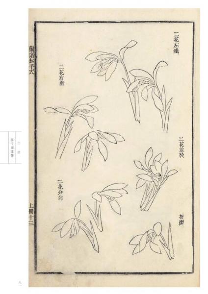 芥子园画传 花鸟卷·兰谱